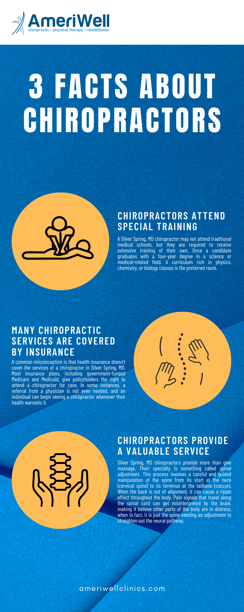 3 Facts About Chiropractors Infographic